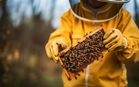 Premium Photo Beekeeper In Protective Workwear Holding Honeycomb Outdoors