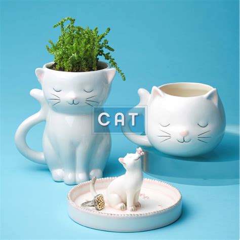 Streamline NY Retail Store