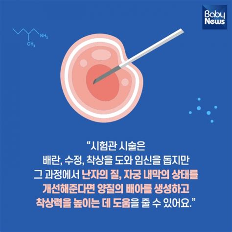 시험관 아기 성공률 어떻게 높일까 베이비뉴스