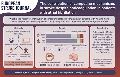 The Contribution Of Competing Mechanisms In Stroke Despite