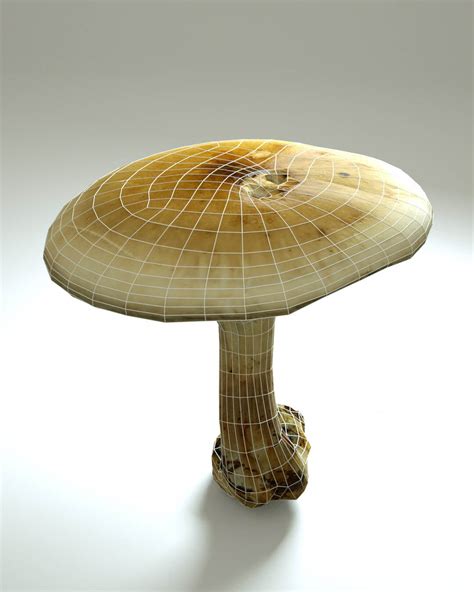 Forest Mushroom 3d Model By Realityscanning