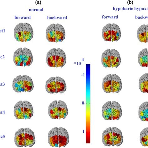 The Images Of The Taskevoked Prefrontal Activations In The Each