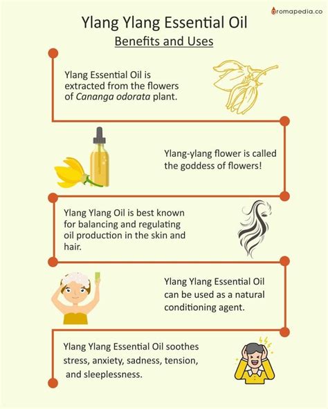 Ylang Ylang Essential Oil Uses And Benefits Aromapedia