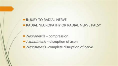 SOLUTION: Radial nerve injury - Studypool