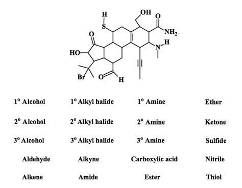 Solved In The List Provided Circle All The Functional Gro