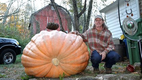 Unlocking The Secrets Of Growing A Giant Pumpkin Whyy