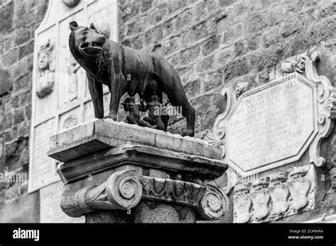 Lupo Capitolino Italiano Lupa Capitolina Scultura In Bronzo Di