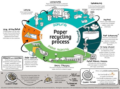 What Is The Paper Recycling Process Lactips