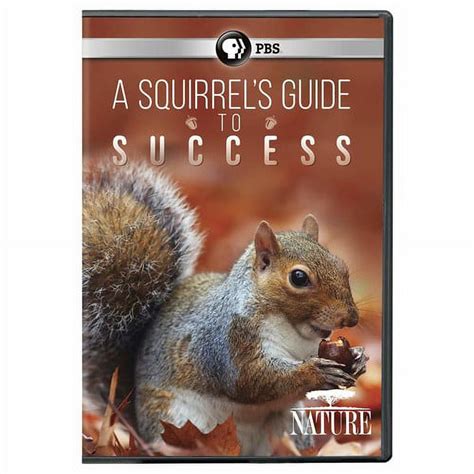 Nature: A Squirrel's Guide To Success (DVD), PBS (Direct), Documentary - Walmart.com