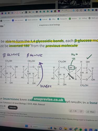 Biological Molecules Flashcards Quizlet