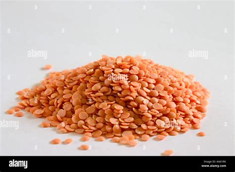 Masoor Split Red Lentils Stock Photo Alamy