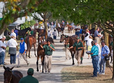 Keeneland, TVG Broaden Relationship With New Racing, Sales Initiatives