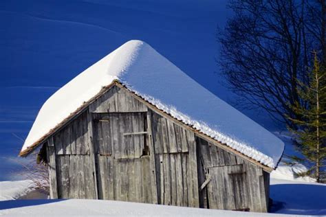 Free Images Landscape Nature Forest Snow Winter Wood White