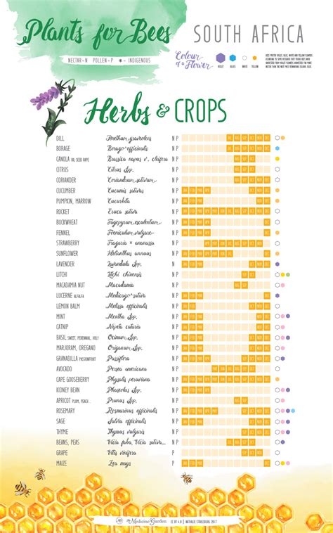 Plants For Bees South Africa The Medicine Garden Vegetable Planting Calendar Vegetable