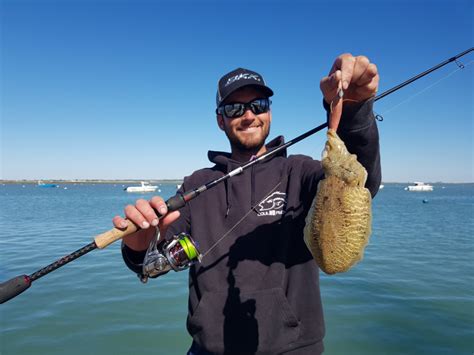 Guide Complet de la Pêche à la Seiche en Bateau en France Techniques