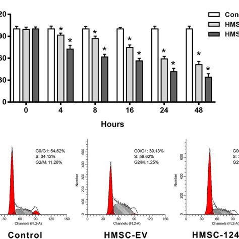 The Inhibition Of Cell Proliferation And Cell Cycle By Hmsc A Ev A