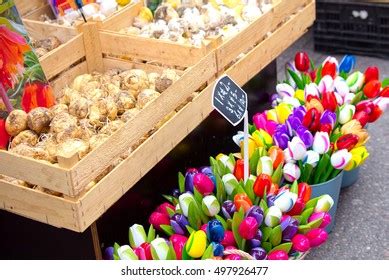 752 Bloemenmarkt Royalty-Free Images, Stock Photos & Pictures ...