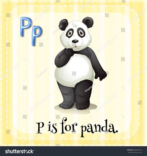 Flashcard Letter P Panda Stock Vector Royalty Free 286945163 Shutterstock