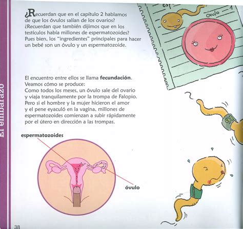 Qué es esto La sexualidad explicada para niños pdf