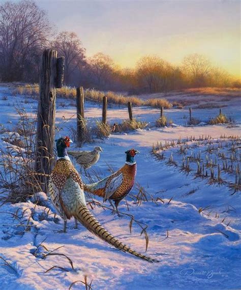 Fenceline Pheasants Wildlife Art Hunting Art Wildlife Paintings