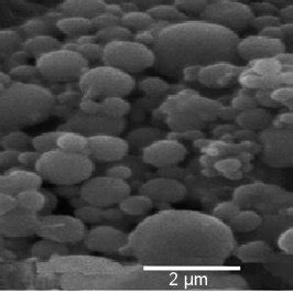 Scanning Electron Micrograph Of Chitosan Nanoparticles Produced Using