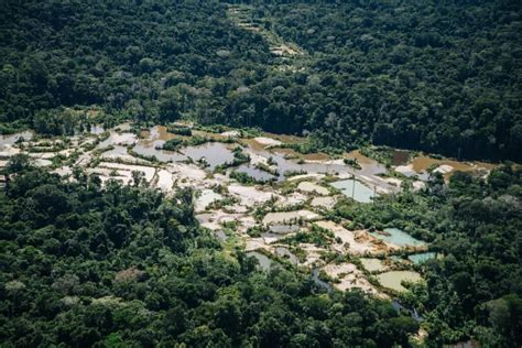 Depois de 17 anos área do povo Munduruku é delimitada Guia Região