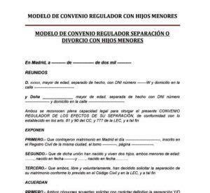 Convenio Regulador Modelo Jur Dico F Cil