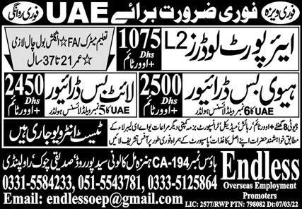 Airport Loader Heavy Bus Driver Jobs In Uae Job