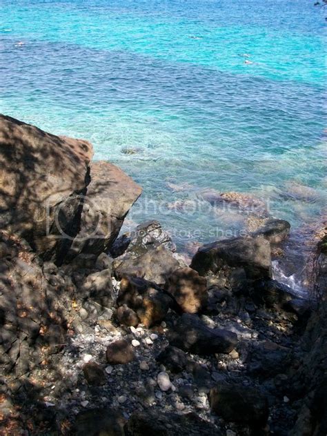 Coki beach snorkeling for non swimmer - St. Thomas/St. John - Cruise Critic Community