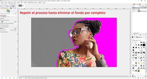 Como Borrar El Fondo De Una Foto O Imagen Con Gimp