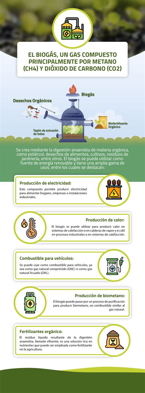 Qu Son Los Biodigestores Agropinos