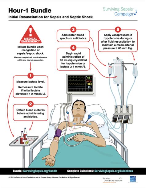 Sepsis Kan Een Medisch Incident Zijn Sepsis En Daarna