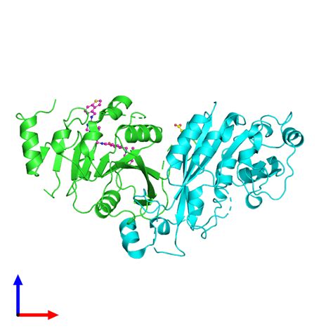 PDB 7oqp Gallery Protein Data Bank In Europe PDBe EMBL EBI