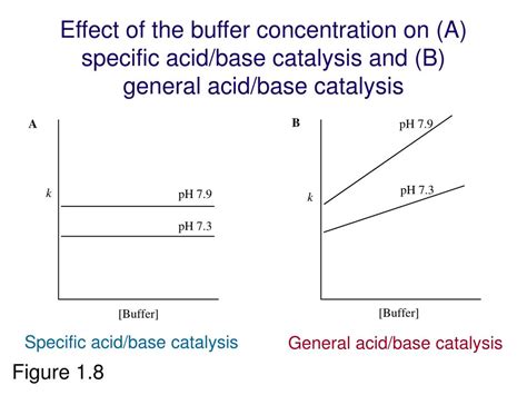 Ppt The Organic Chemistry Of Enzyme Catalyzed Reactions Revised