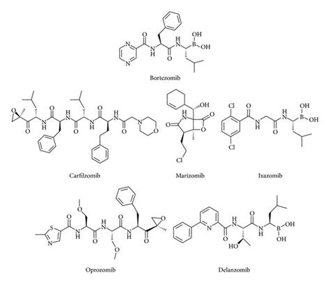 Bortezomib And The New PIs Chemical Structure Of Bortezomib And The