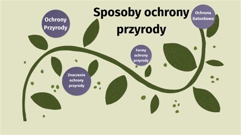 Sposoby Ochrony Przyrody By Mi Osz Prorok