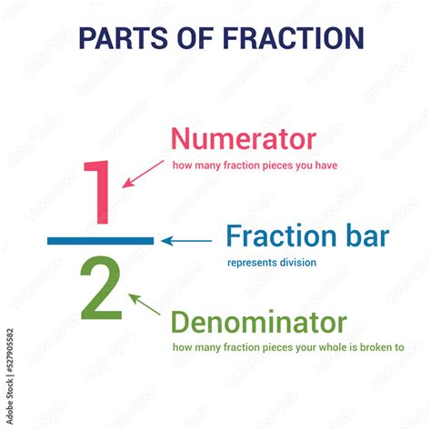 Parts Of Fraction Numerator Denominator And Fraction Bar Stock Vector