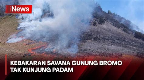 Kebakaran Savana Gunung Bromo Tak Kunjung Padam Akibat Ulah Oknum