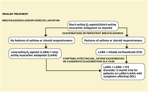 Mims Summary Of Nice Copd Guidance Updated Mims Online