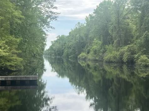 Best Wheelchair Friendly Trails In Dismal Swamp State Park Alltrails
