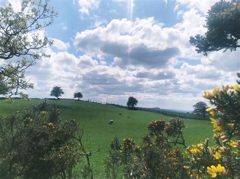 Life in a Day in Ashram