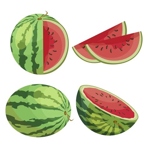 Premium Vector A Set Of Colorful Watermelons A Whole Watermelon Half