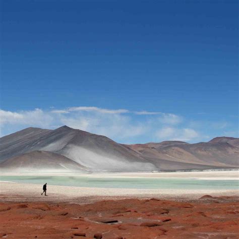 Atacama Desert Salt Flats Experience | Chile Luxury Travel | Walk into ...