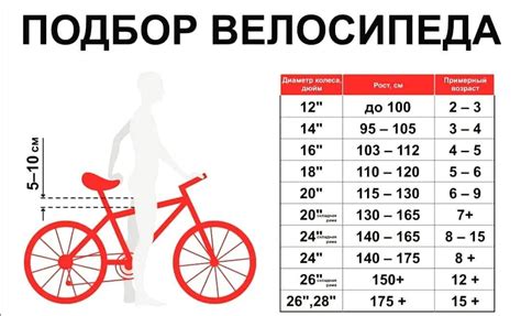 Подробно о: какие колеса велосипеда выбрать под рост ребенка