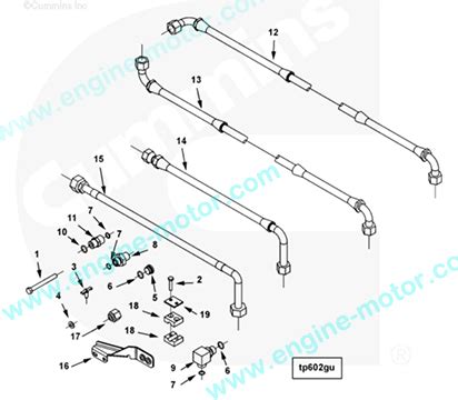 Cummins Flexible Hose