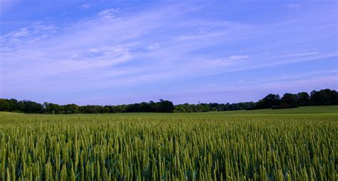 Fotos Gratis Paisaje Naturaleza Césped Horizonte Nube Planta