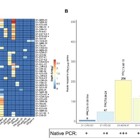 Microbiome Characterization At The Species Level By Shotgun Metagenomic Download Scientific