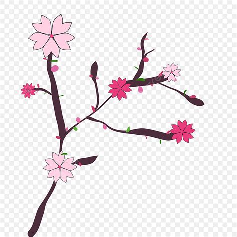 Spring Cherry Blossom Png Transparent Beautiful Spring Cherry Blossom