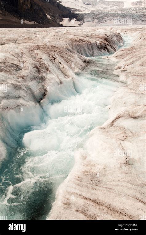 Athabasca Glacier Retreat Hi Res Stock Photography And Images Alamy