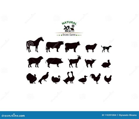 Vector Farm Animals Silhouettes Isolated On White Stock Vector